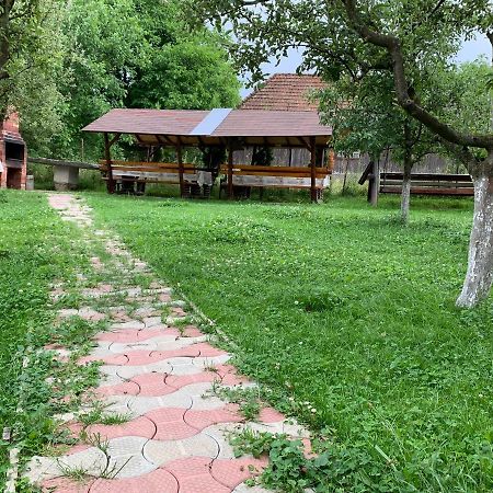 Hotel Vila Mogan Moieciu de Jos Zewnętrze zdjęcie