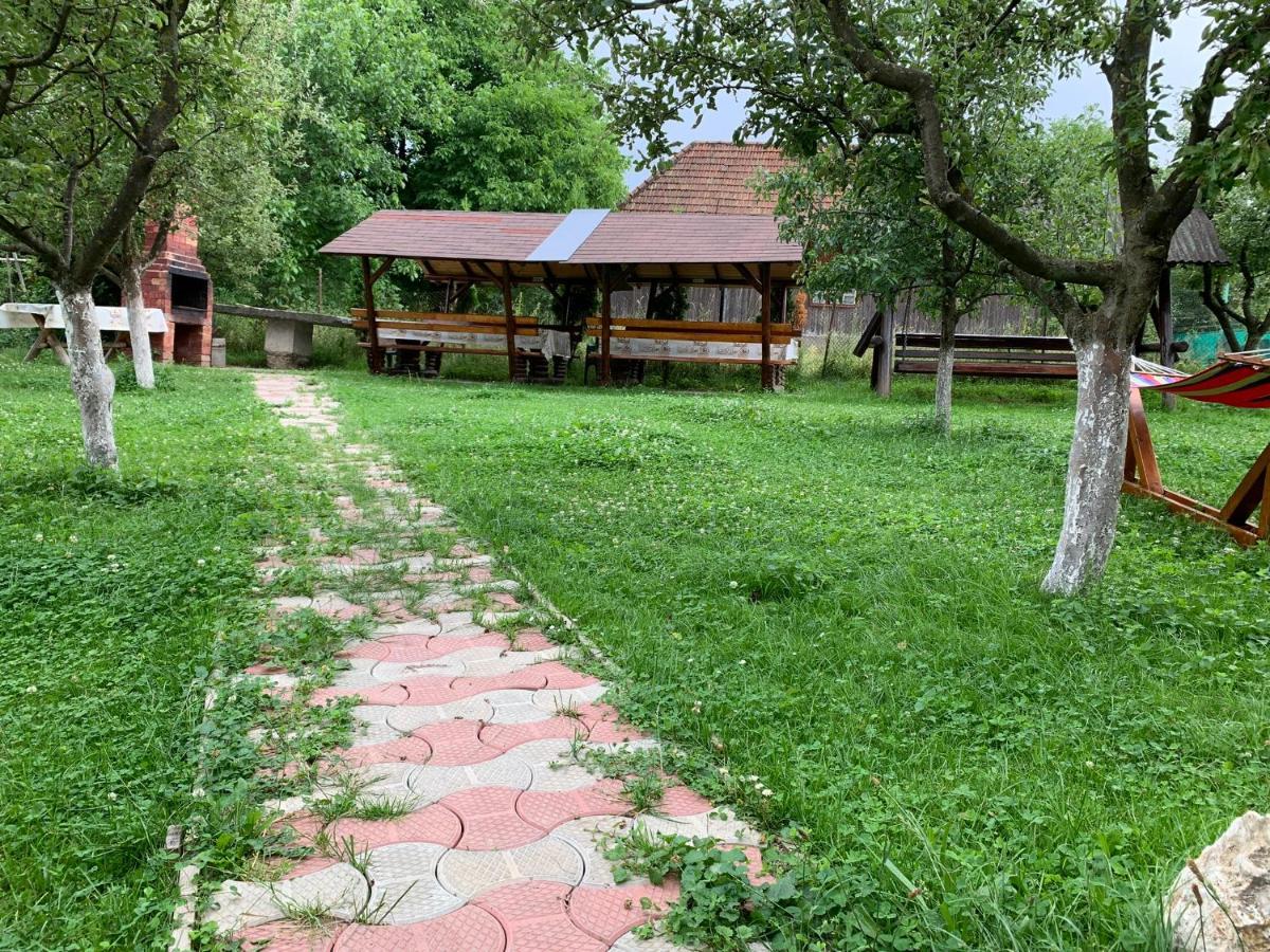 Hotel Vila Mogan Moieciu de Jos Zewnętrze zdjęcie